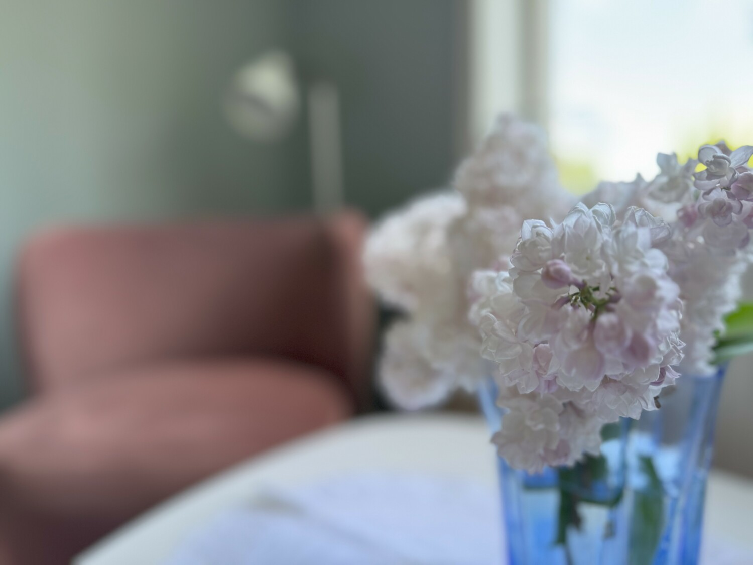 Animskogs Kyrkskola Apartment Björk - flower.jpeg