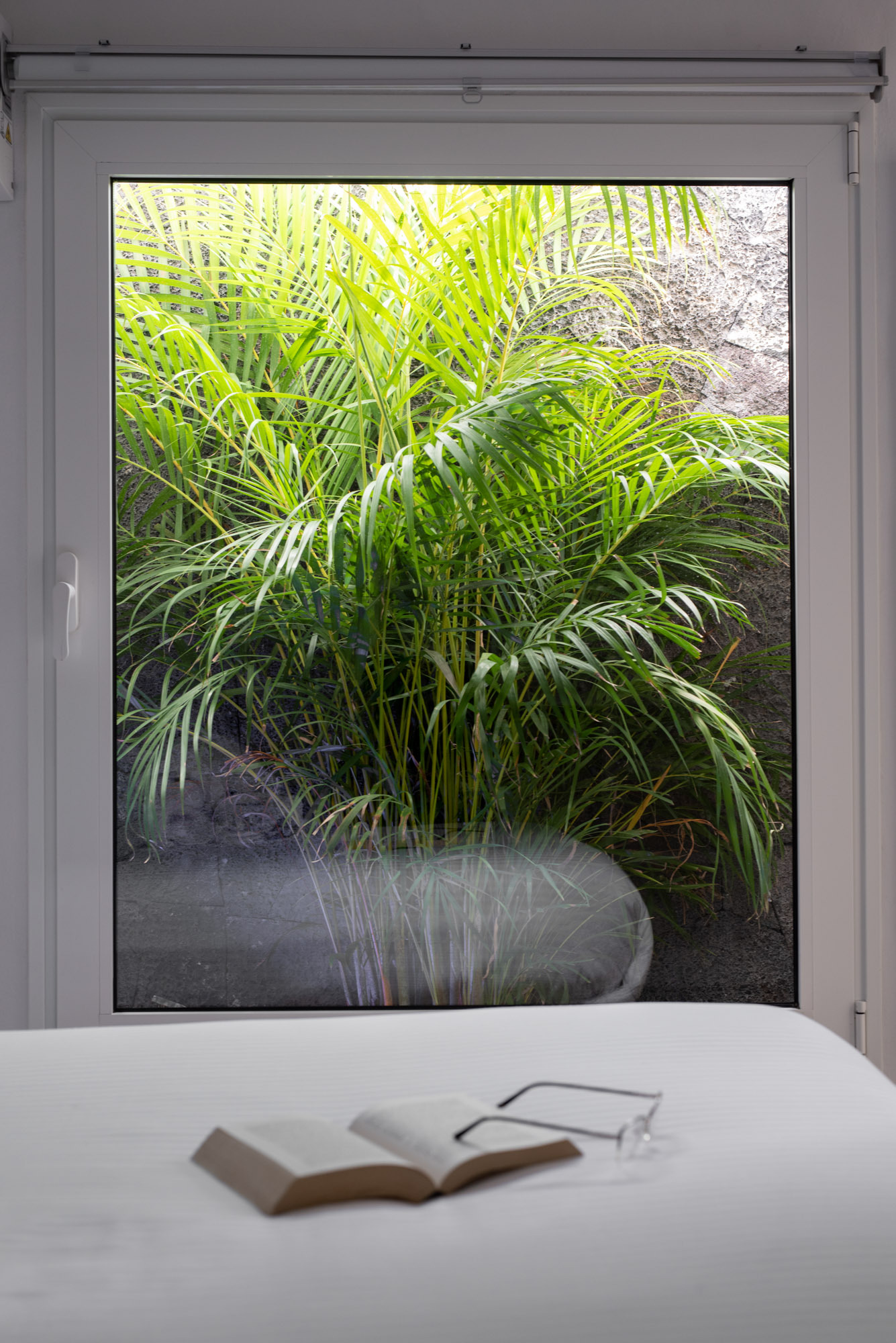 Copy of Villa Areca 05.jpeg