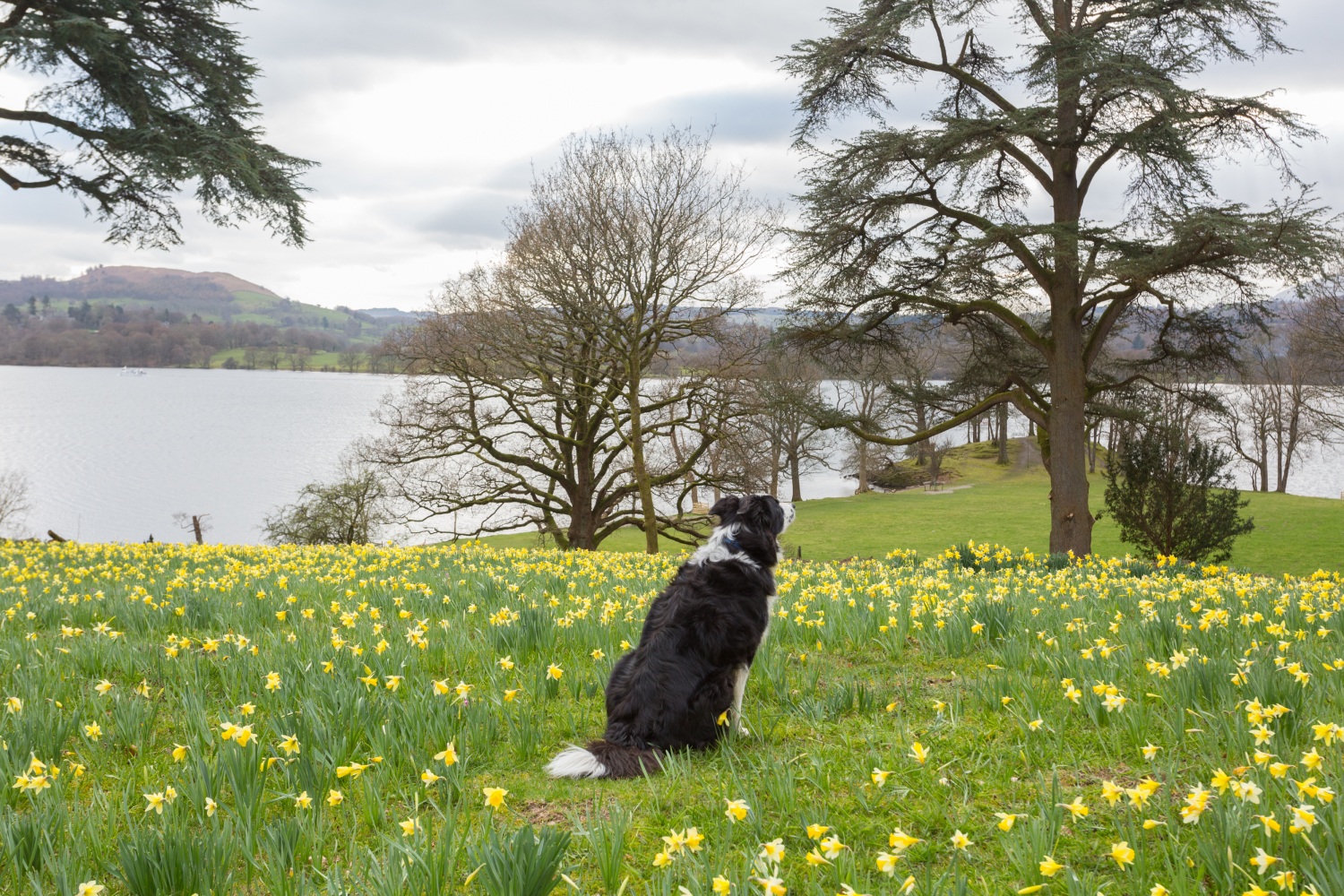 3 Wansfell Holme - 32.jpg