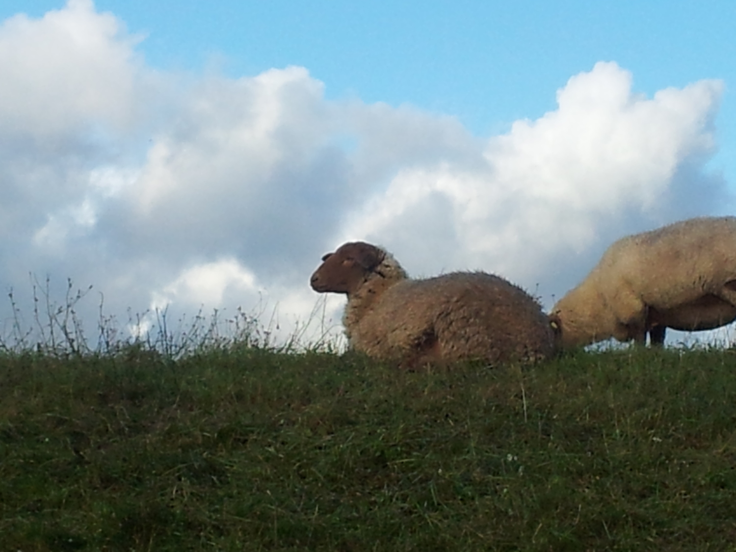 2011-10-19 16.05.41.jpg