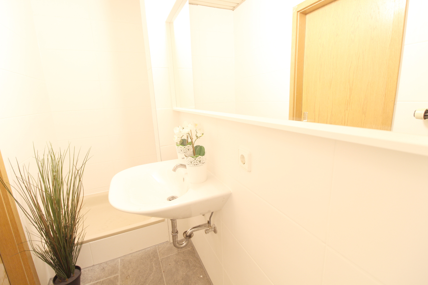 2022-11-01 - 206-bad-d_b.jpg