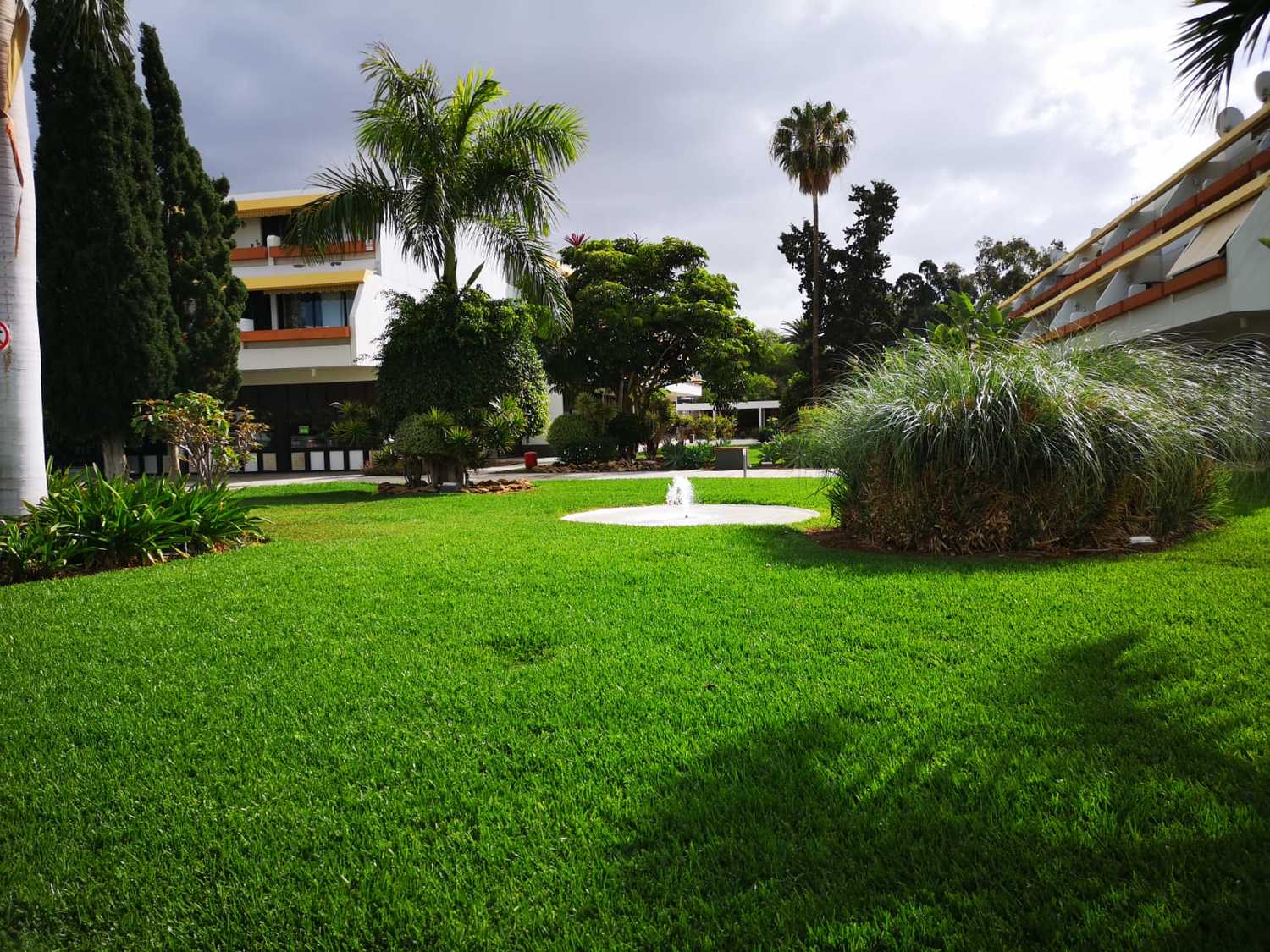 WhatsApp Image 2019-05-17 at 17.05.28.jpeg