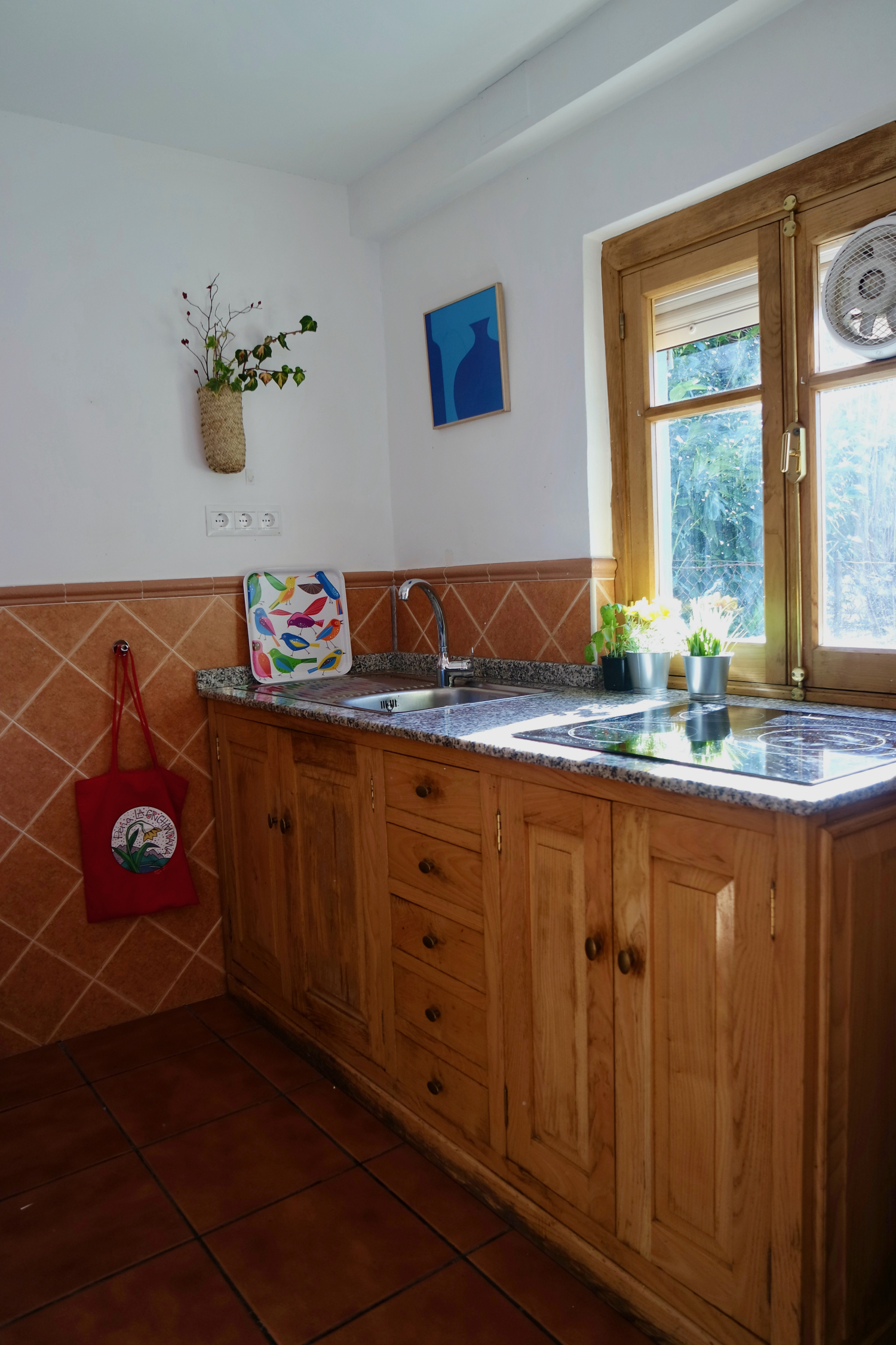 10 apartamento cocina.jpeg