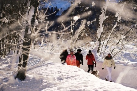 Winterwandern TOP.jpg