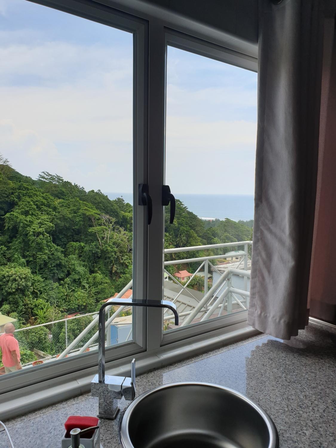 VIEW FROM KITCHEN WINDOW.jpg