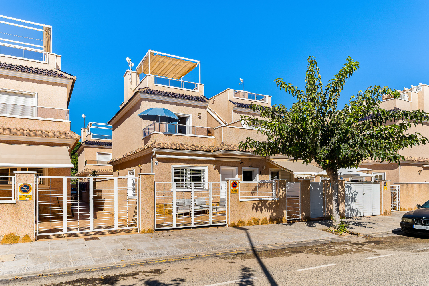 Gladiolo 52 - Pilar de Horadada (1).jpg