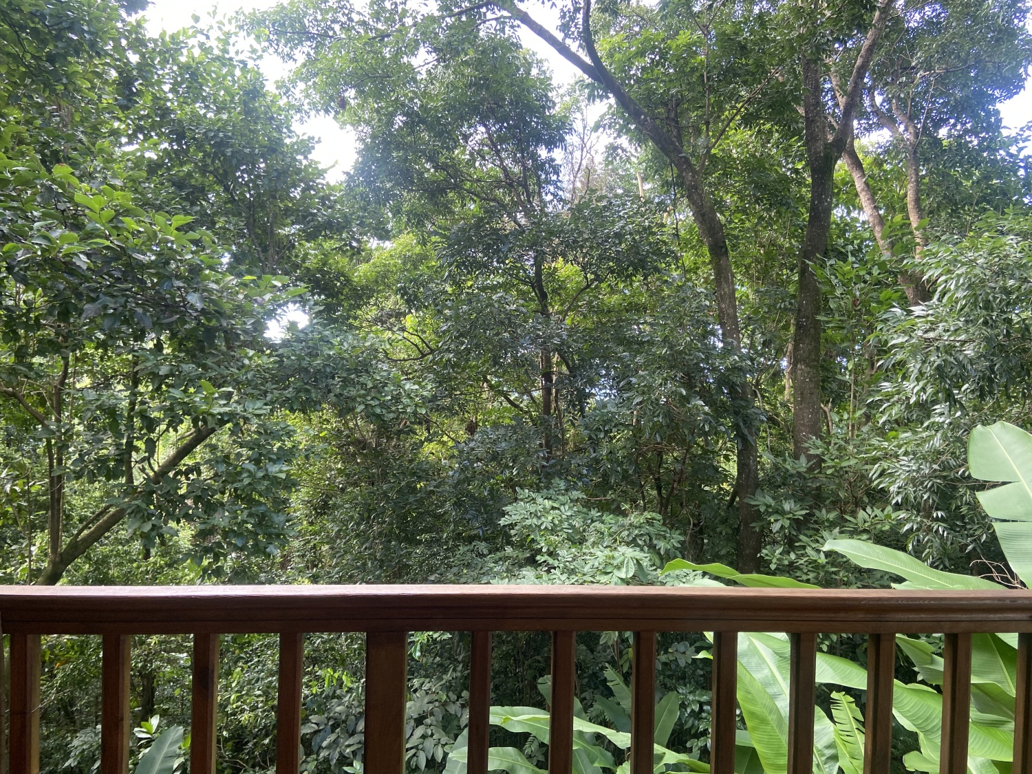 ok 29-11-2022 08 47 28.jpg