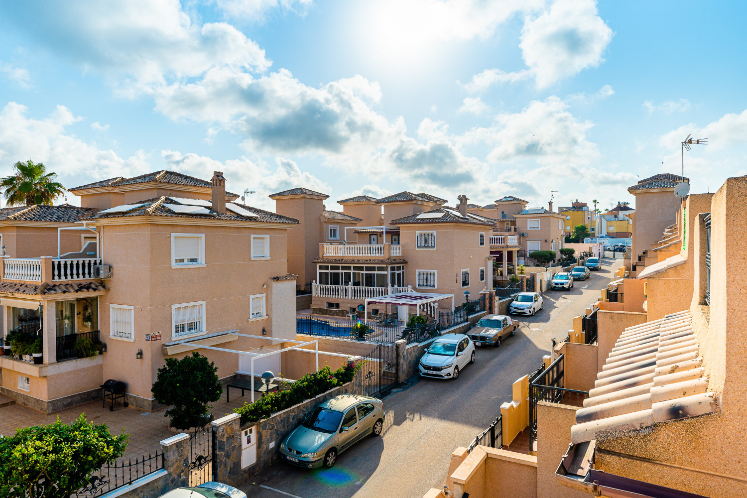 Royal Park Rose 89A (34).jpg