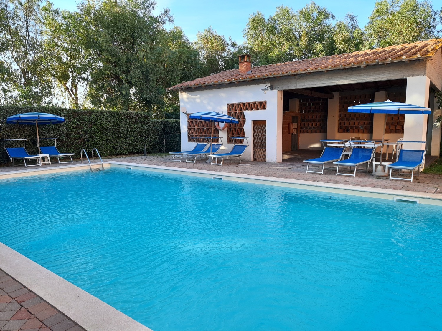 20210923_174321 (1).jpg