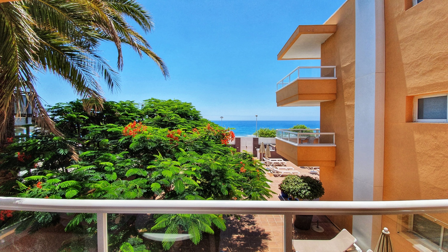 Terraza apto 21 hzte.jpeg