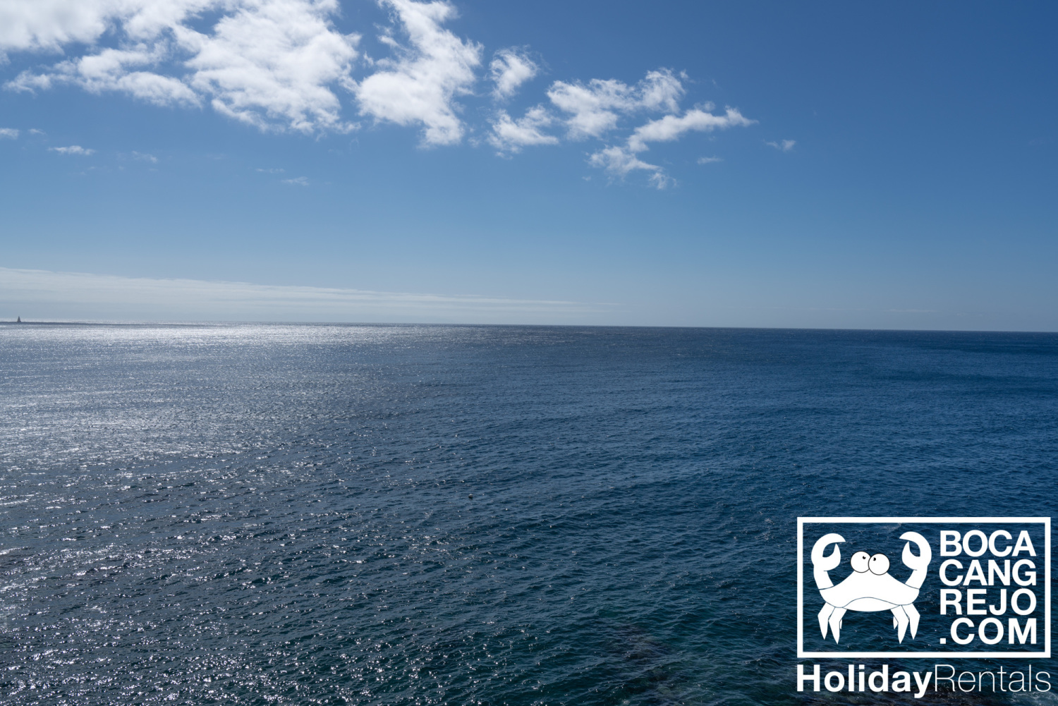 Bocacangrejo Tenerife  (8).jpg