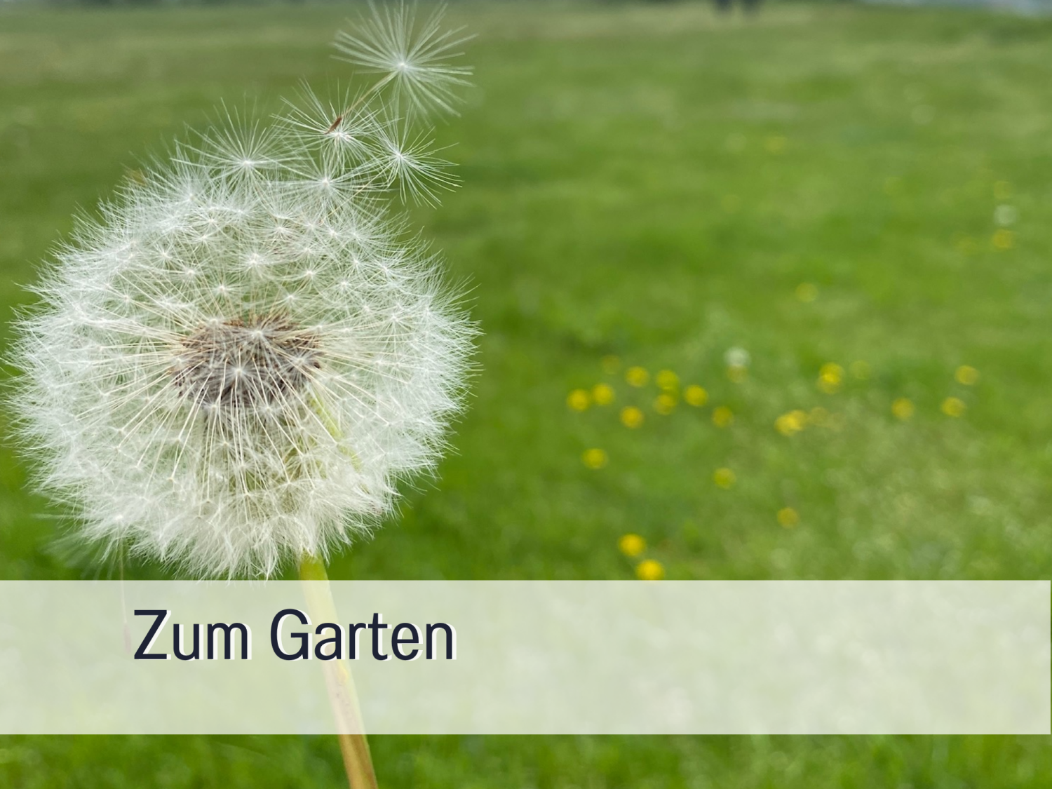 Vorlage für _beschriftet (28).png