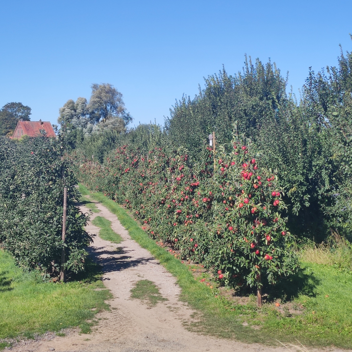 Gehen- Radfahren-Bootfahren-03.jpg