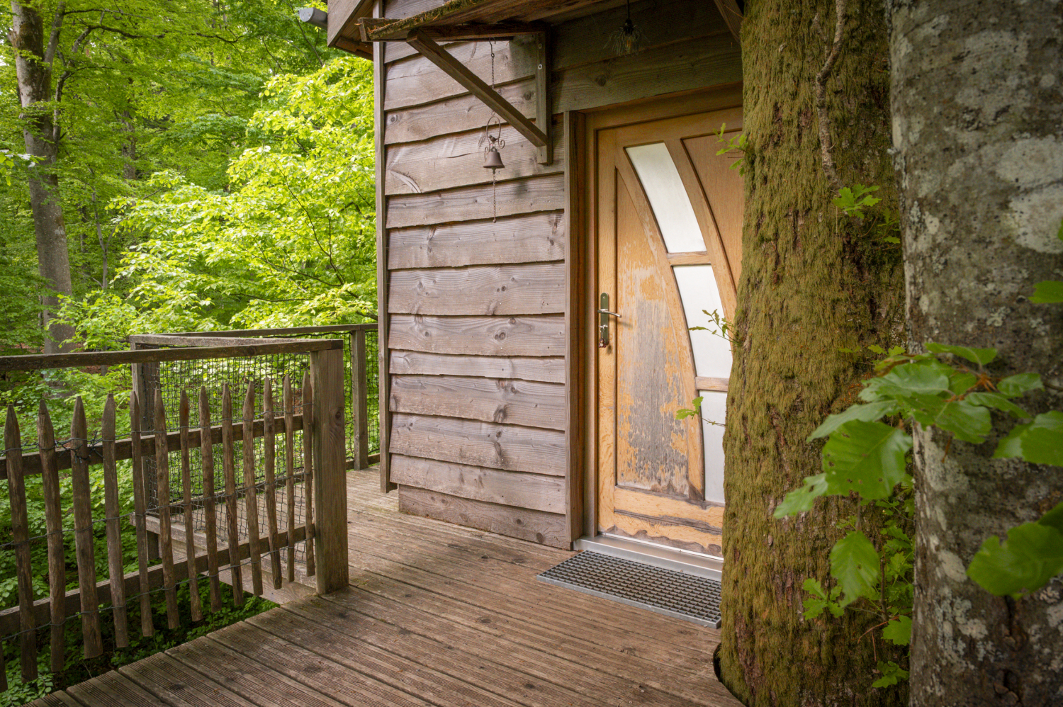 pat' de l'ours-38.JPG