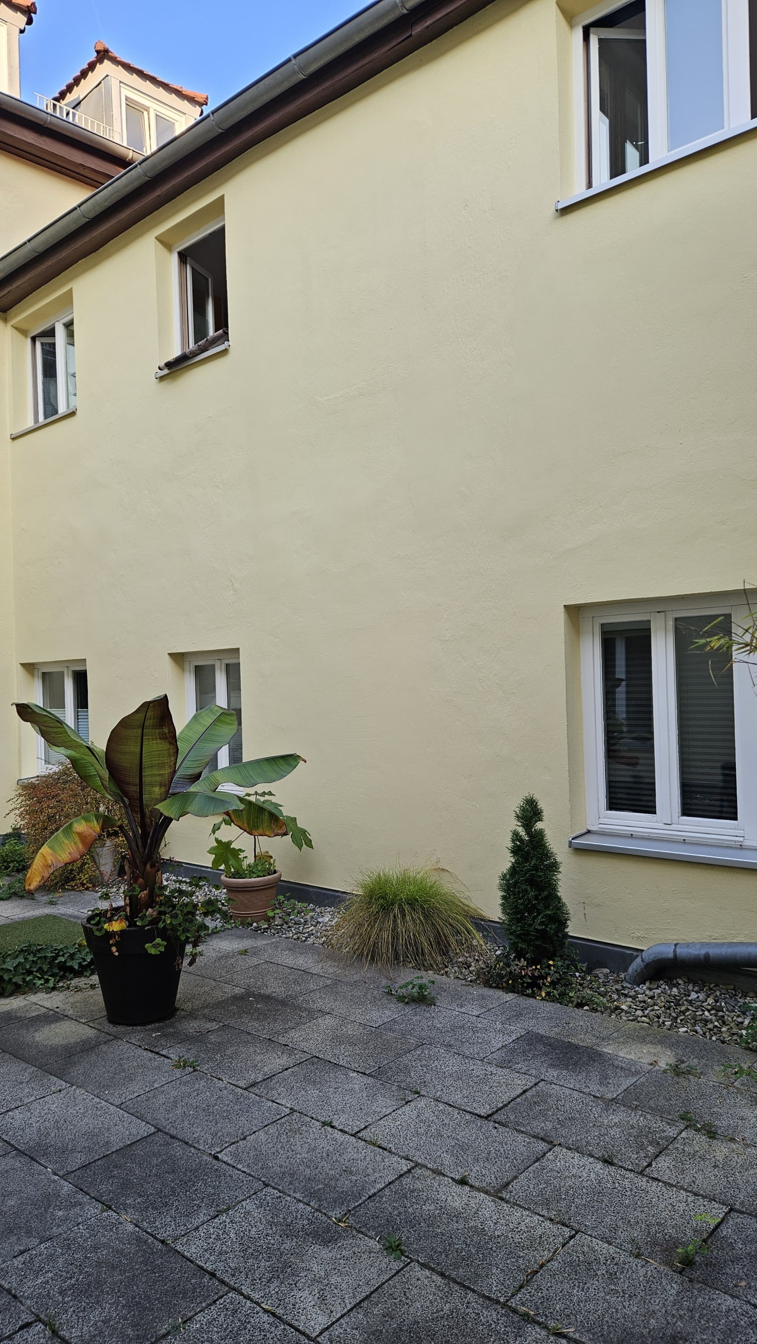 WhatsApp Image 2024-11-05 at 14.53.56.jpeg