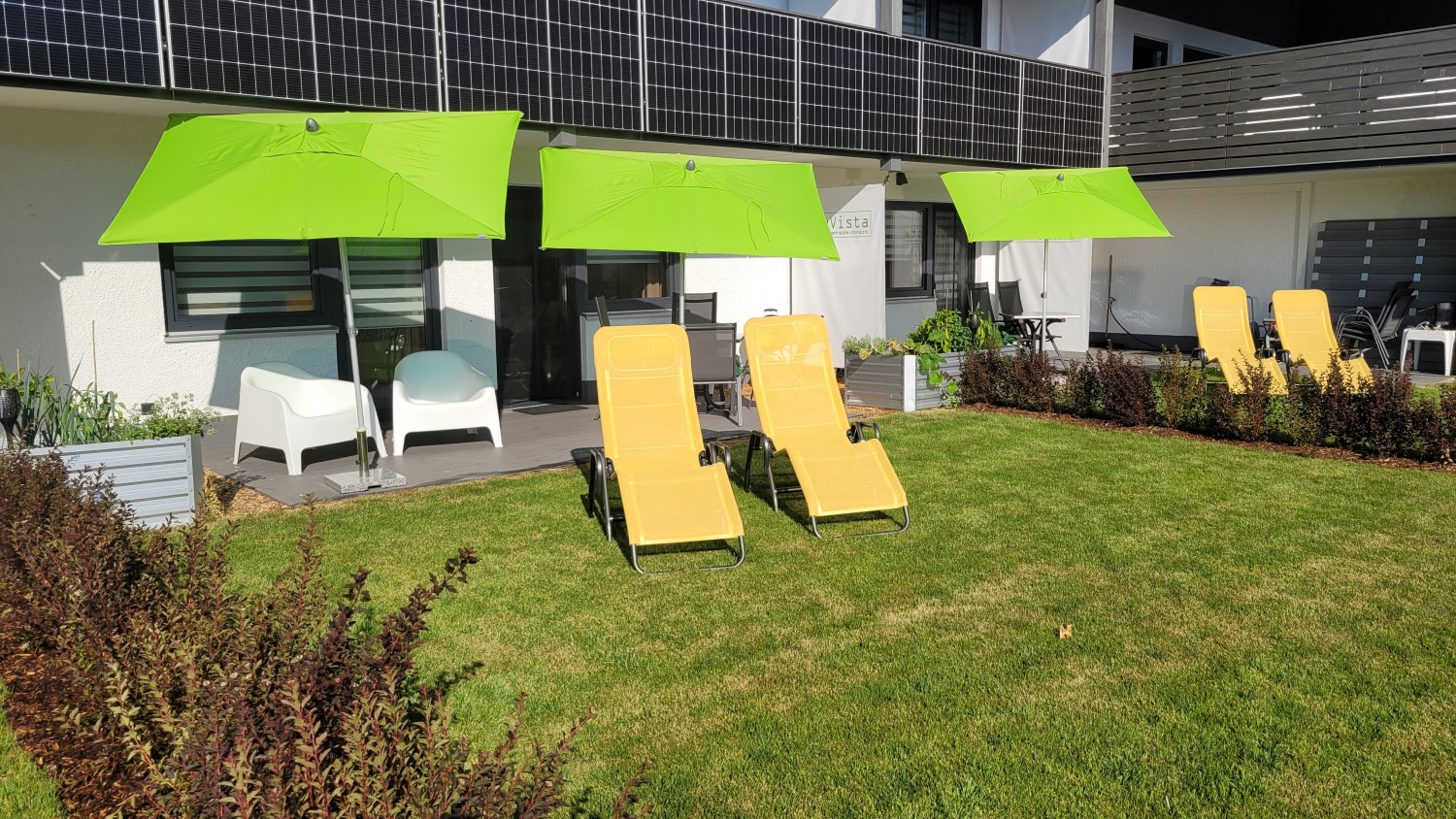 20230915_161726 App 8.jpg