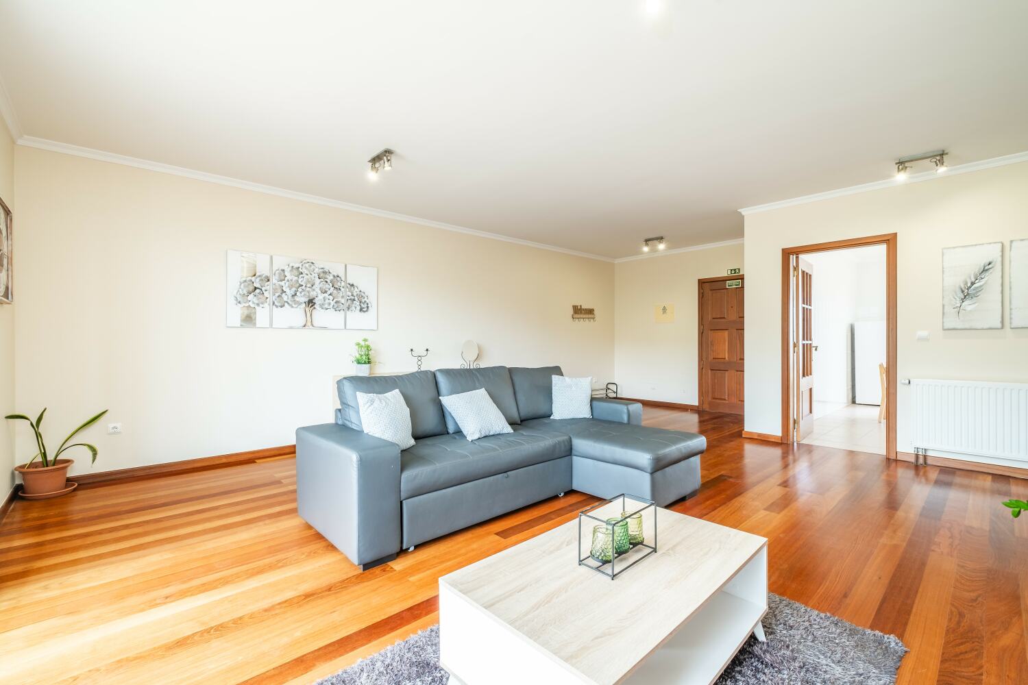 Photo-14 - Cópia.jpg