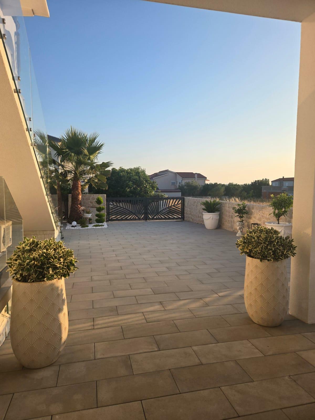 shared image (1).jpg