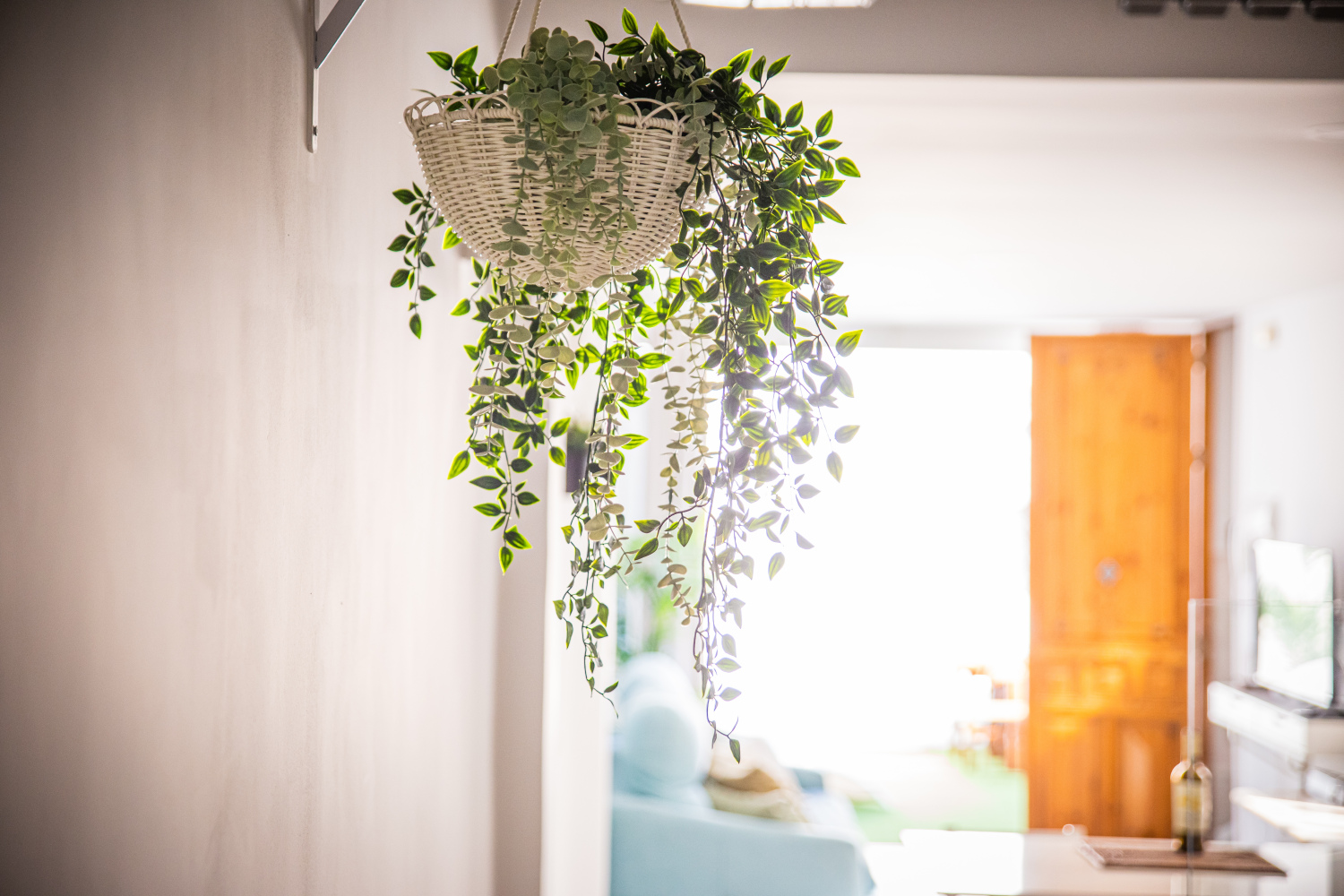 SAN VICENTE 09_5A_23.jpg