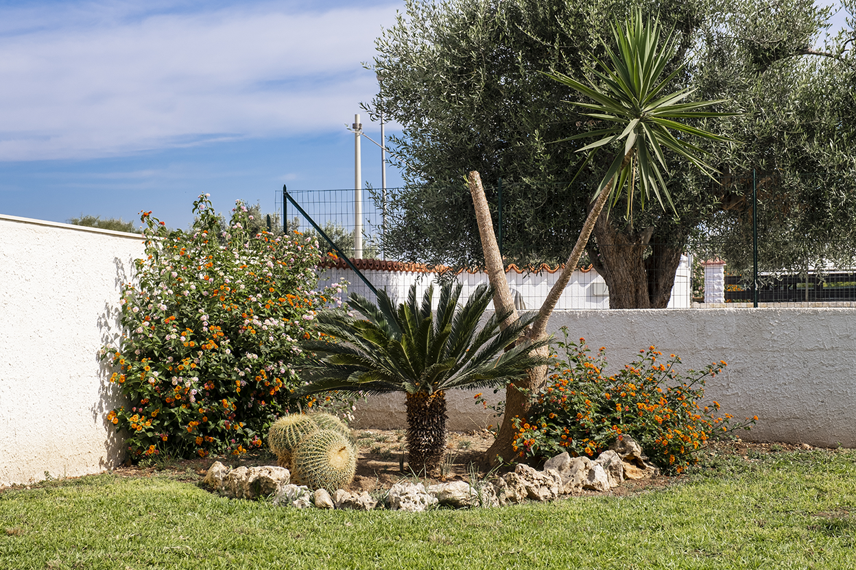 Villa Orietta_28.png