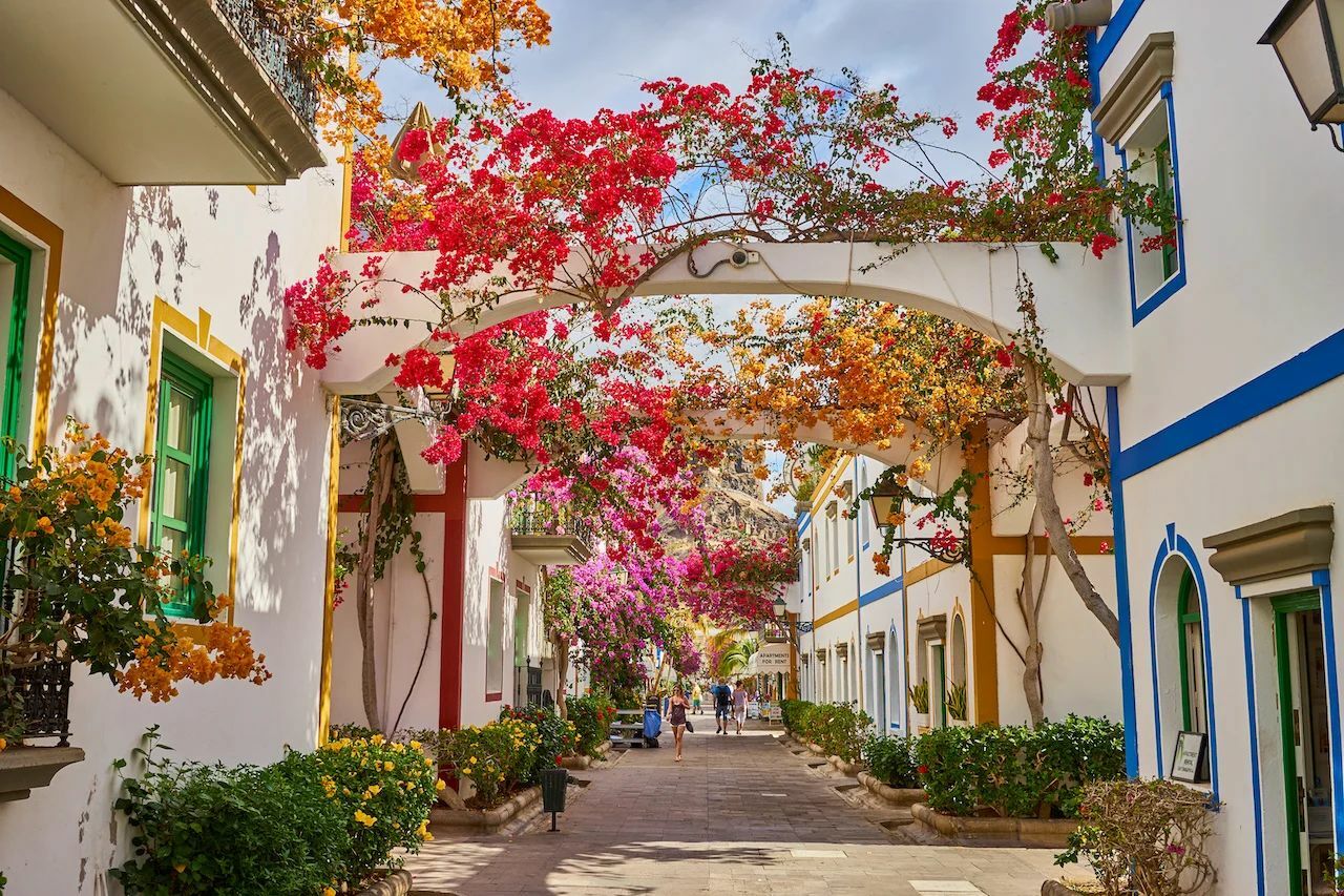 WhatsApp Image 2025-07-28 at 19.47.28.jpeg