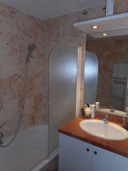 ze LUVITERE bathroom salle de bain.JPG