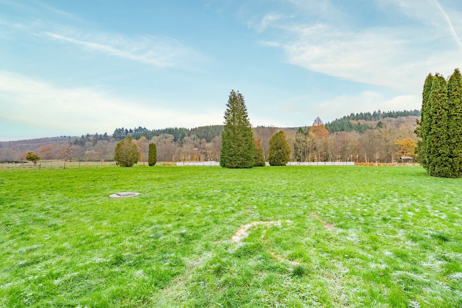 Au coeur du Bois Web--30.jpg