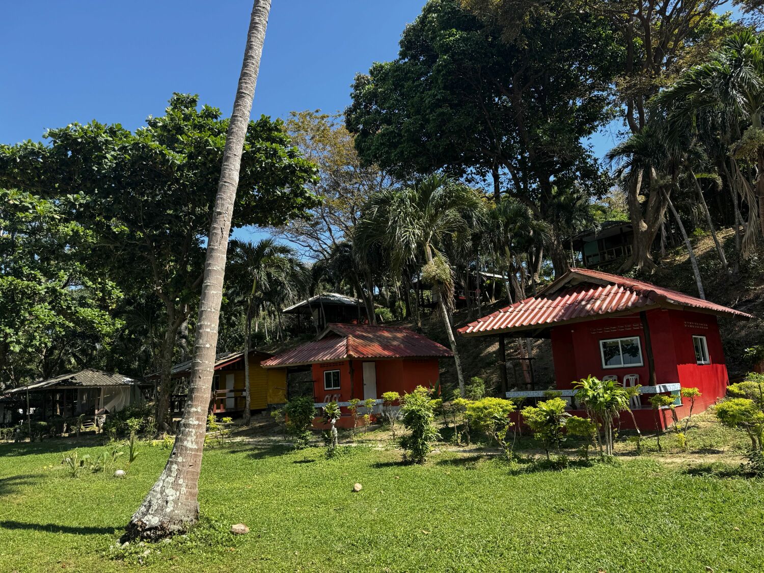 2024-12-19 13.35.31.jpg