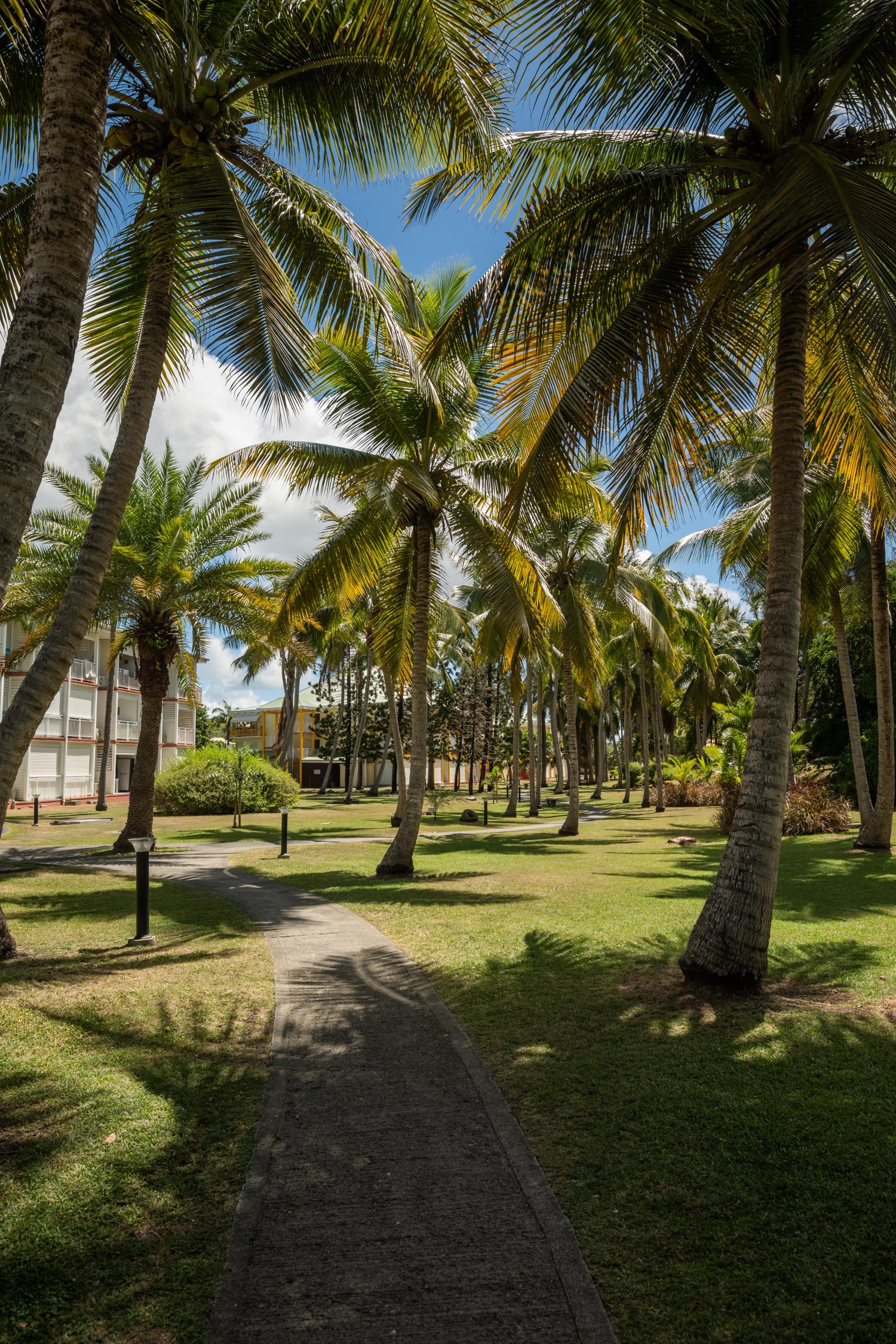 Studio Anse des Rochers 110424©JessicaLaguerre-0572.jpg