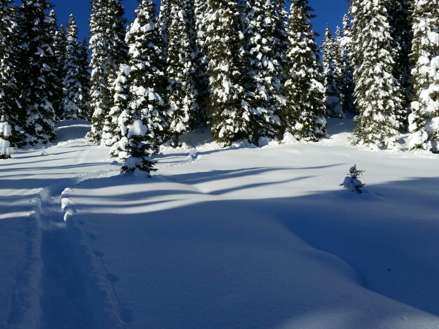 2018-02-14 21.34.10-3-1.jpg