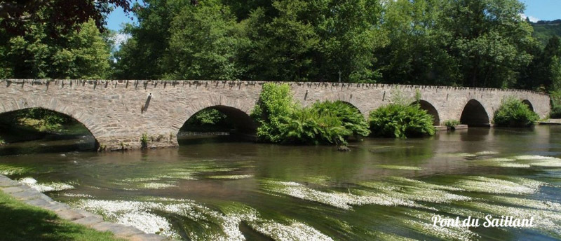 pont du saillant.jpeg