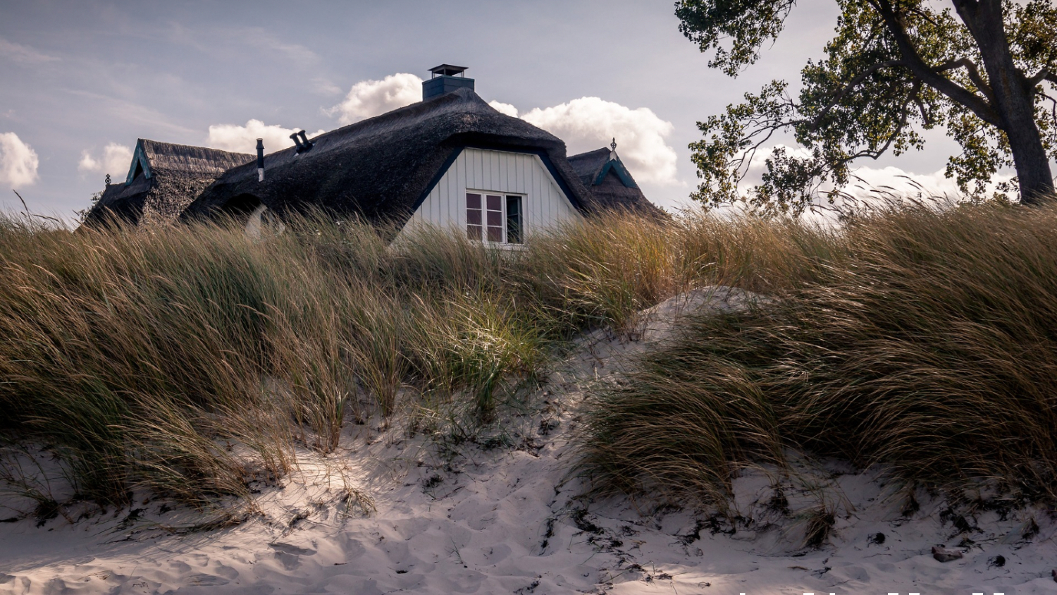 11_Reetdachhaus.jpg