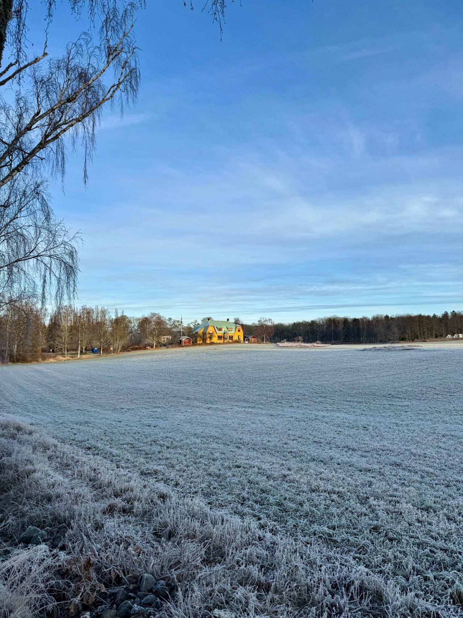 WhatsApp Image 2025-12-28 at 08.33.53.jpeg