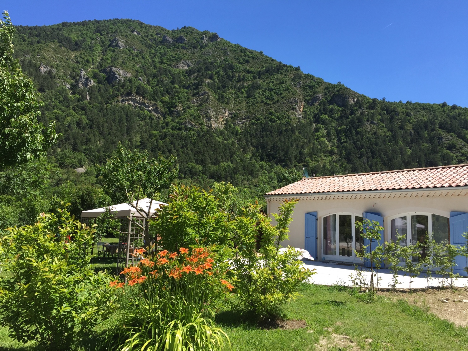 2016-06-23 11.59.32.jpg