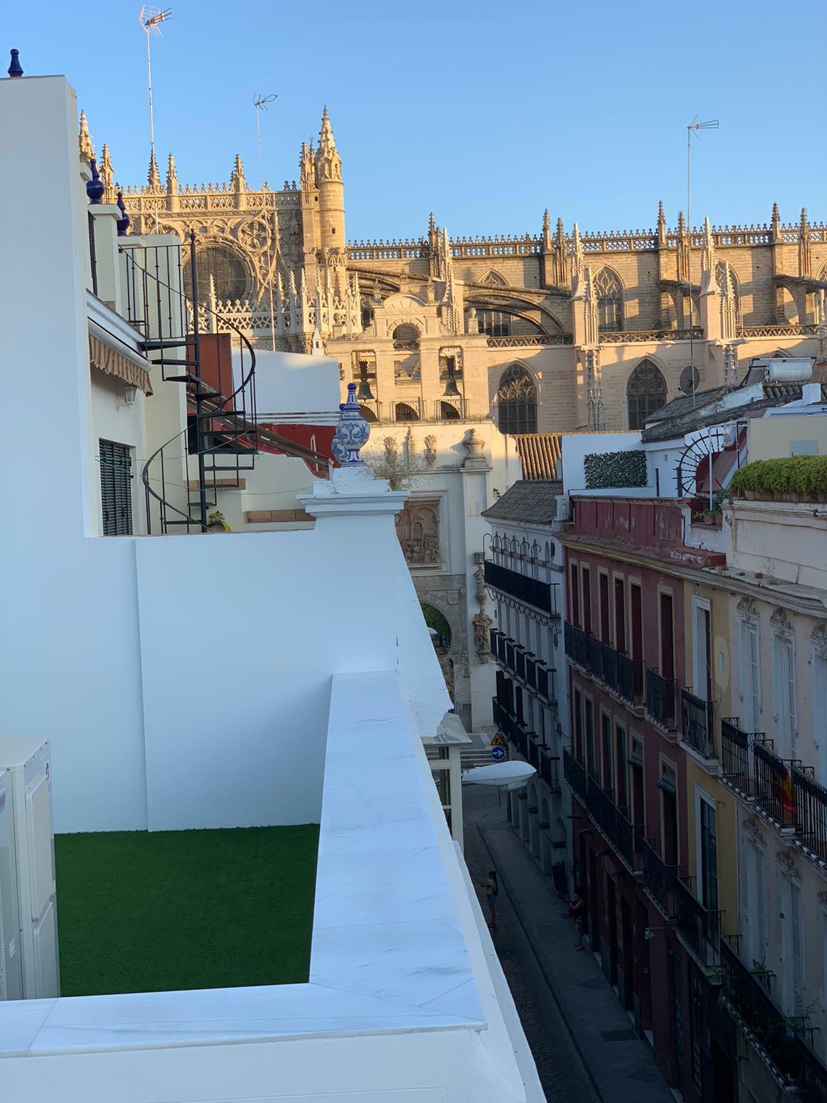 WhatsApp Image 2020-07-29 at 19.40.39.jpeg