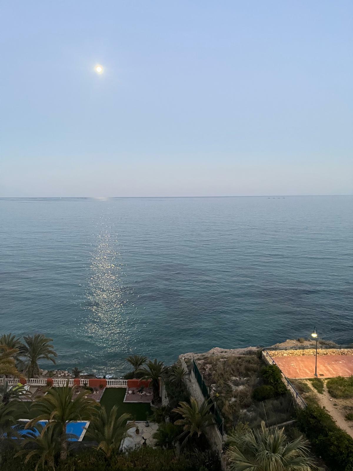 WhatsApp Image 2026-04-08 at 9.24.43 AM.jpeg