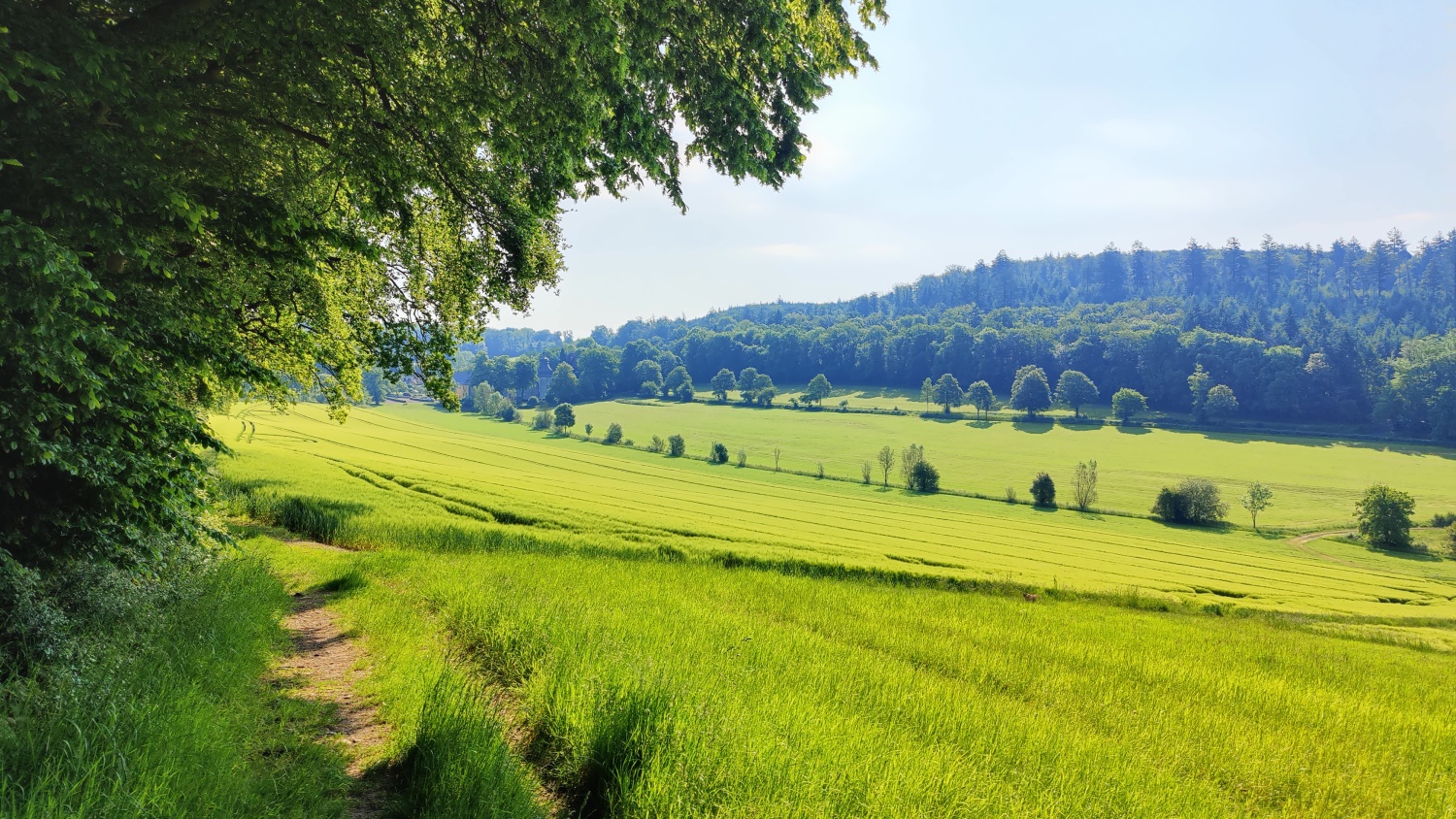 Landschaft Melschede.jpg