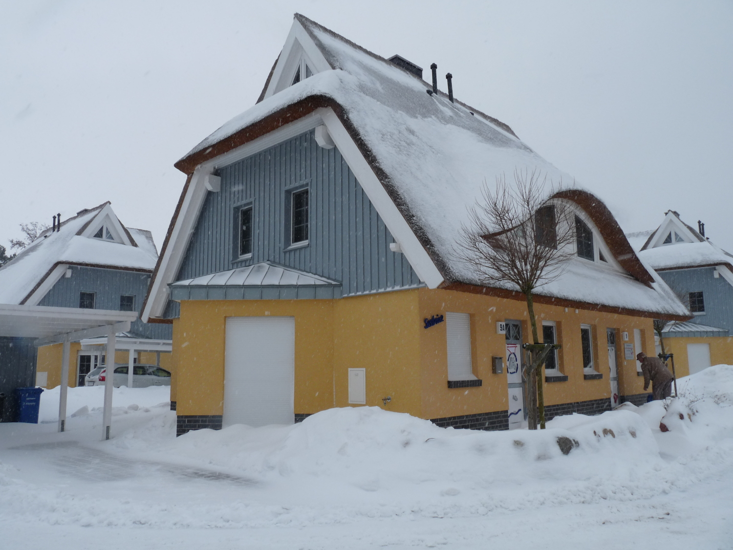 zingst karneval 10 034.jpg