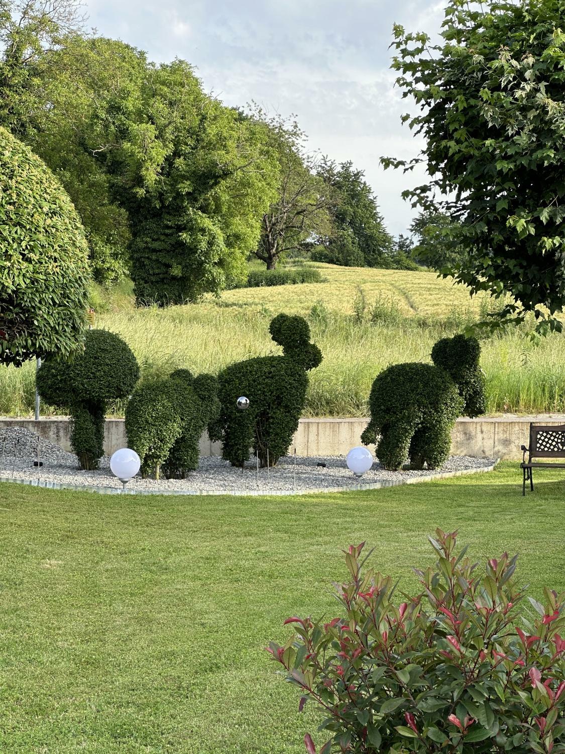 Foto 05.06.24, 18 42 08.jpg