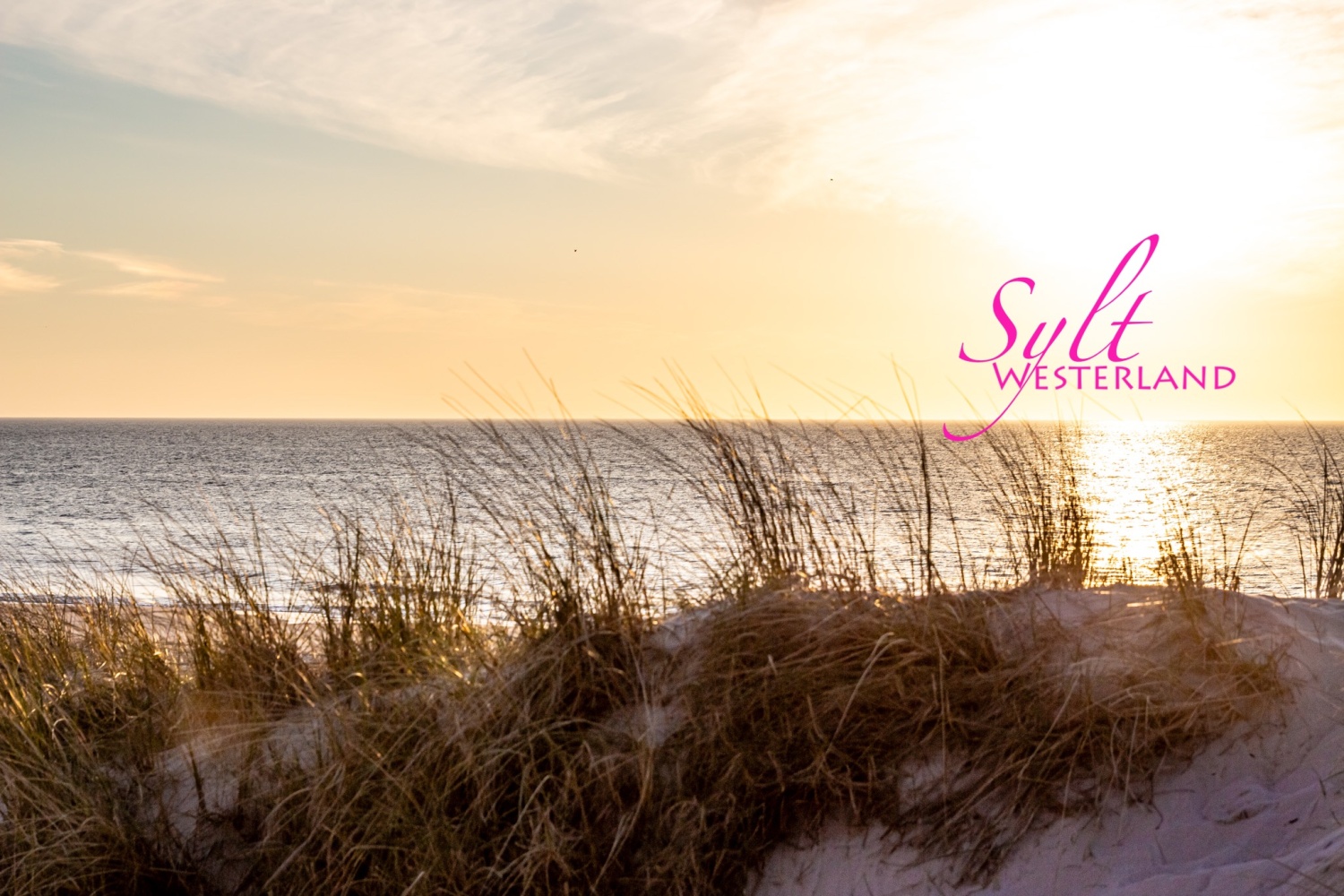 214 - IMG_8892 Kopie.jpg