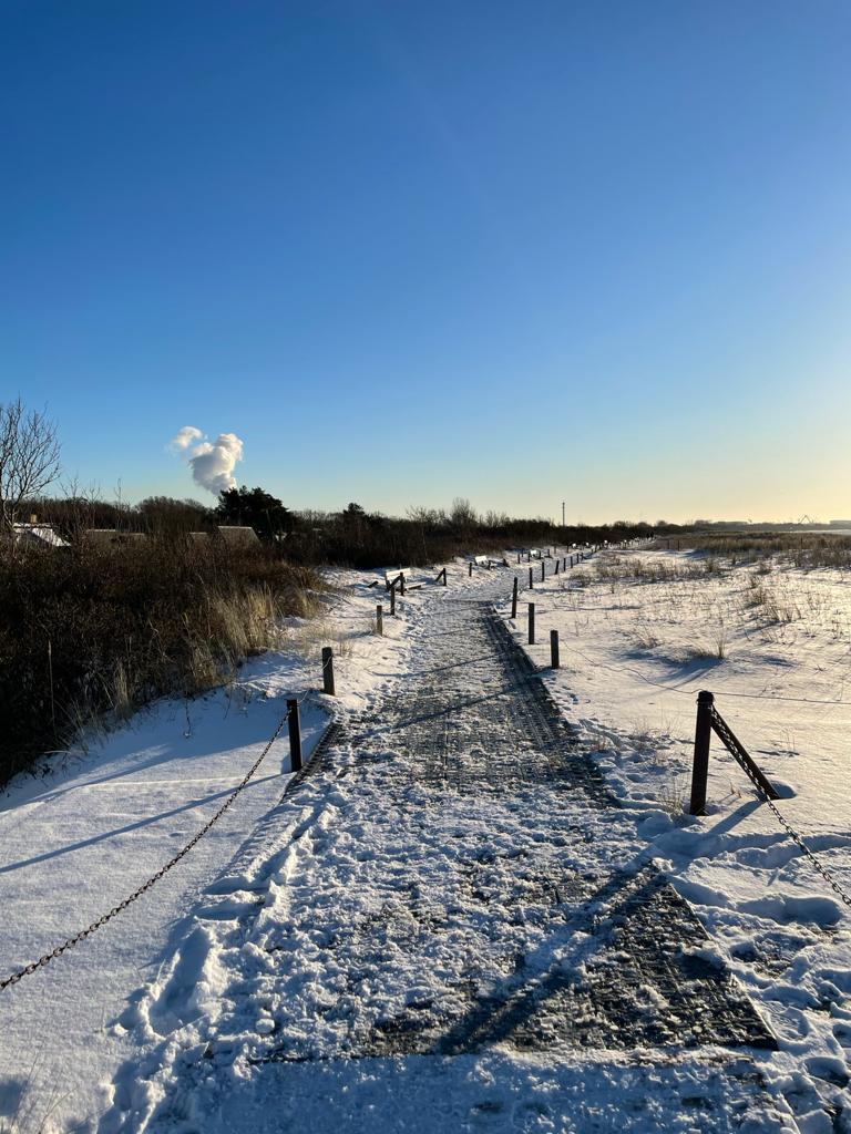 682ad198-e2d4-4167-871f-578b6dea71f5 (2).JPG