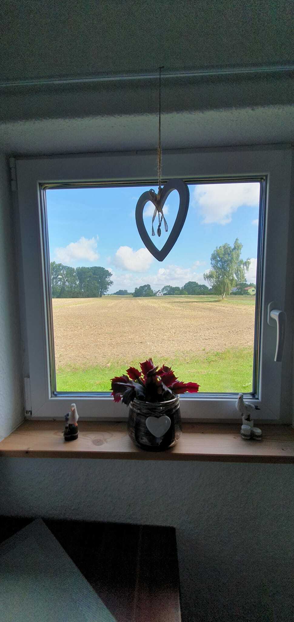 WhatsApp Bild 2023-07-25-9.jpg