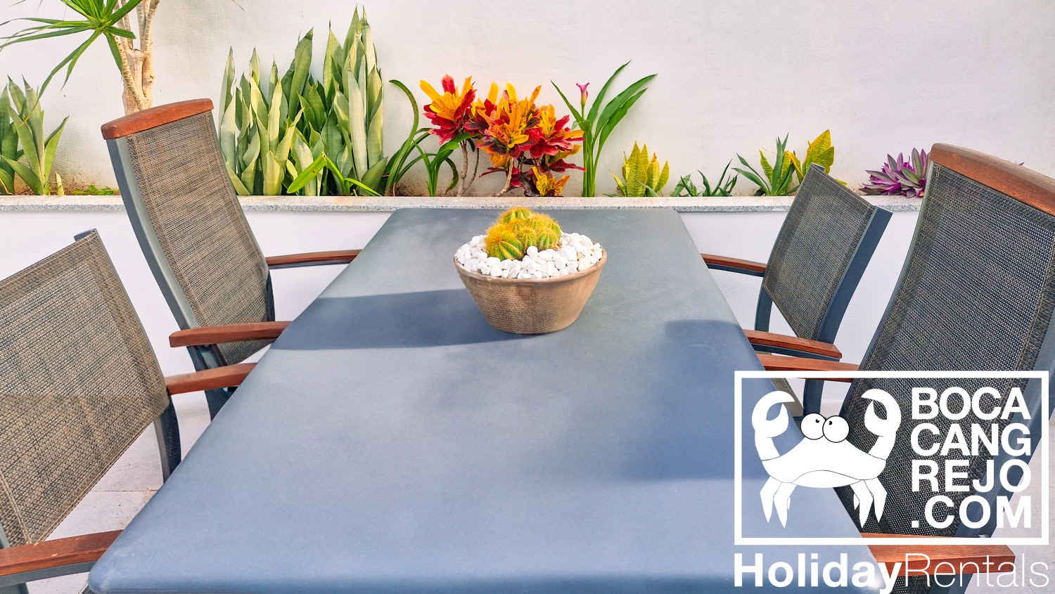 Bocacangrejo Rentals BC8 (26).jpg