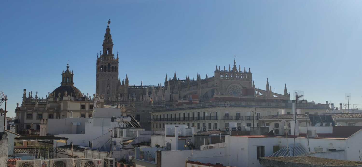 WhatsApp Image 2021-11-15 at 10.43.56.jpeg