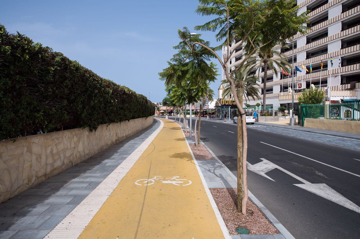 WhatsApp Image 2021-03-25 at 20.46.11.jpeg