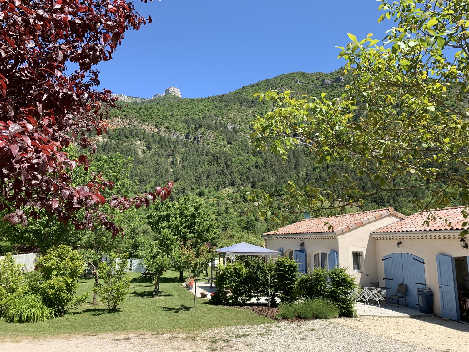 2019-06-08 12.26.31.jpg