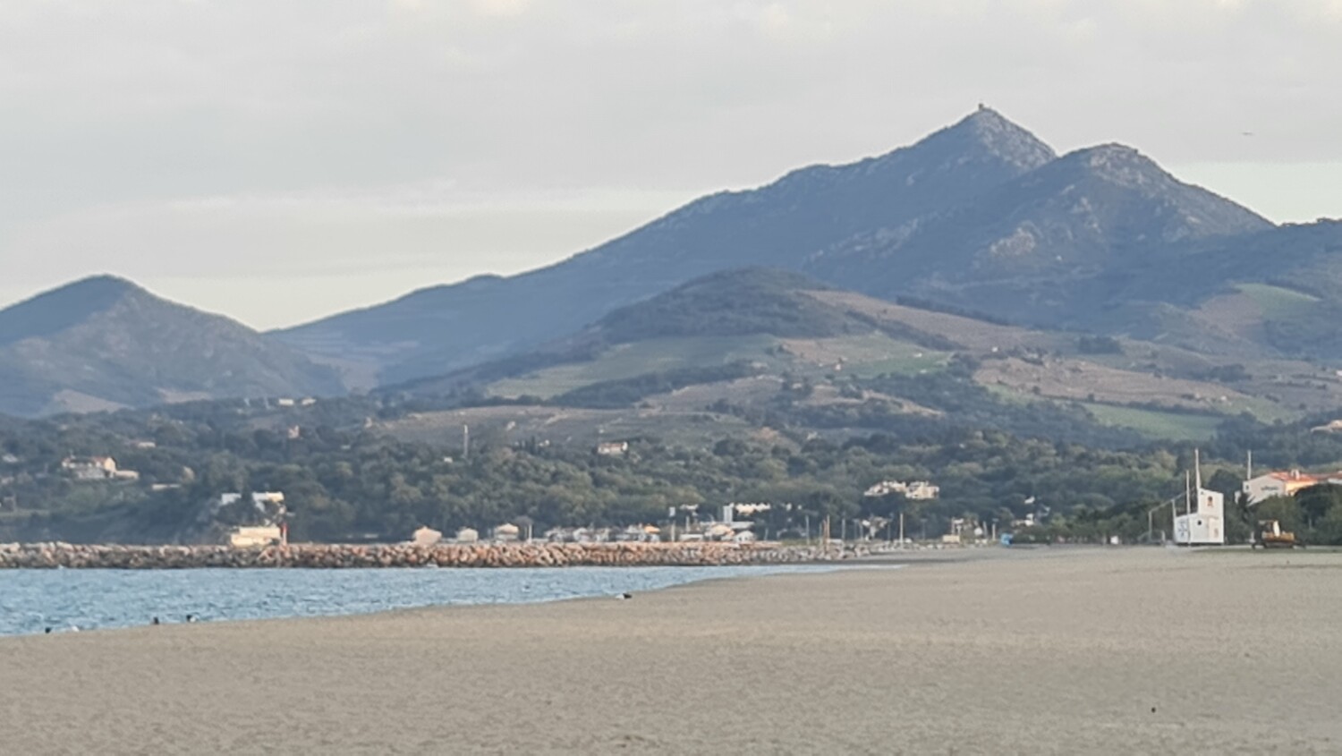 20250404_194205 (2).jpg