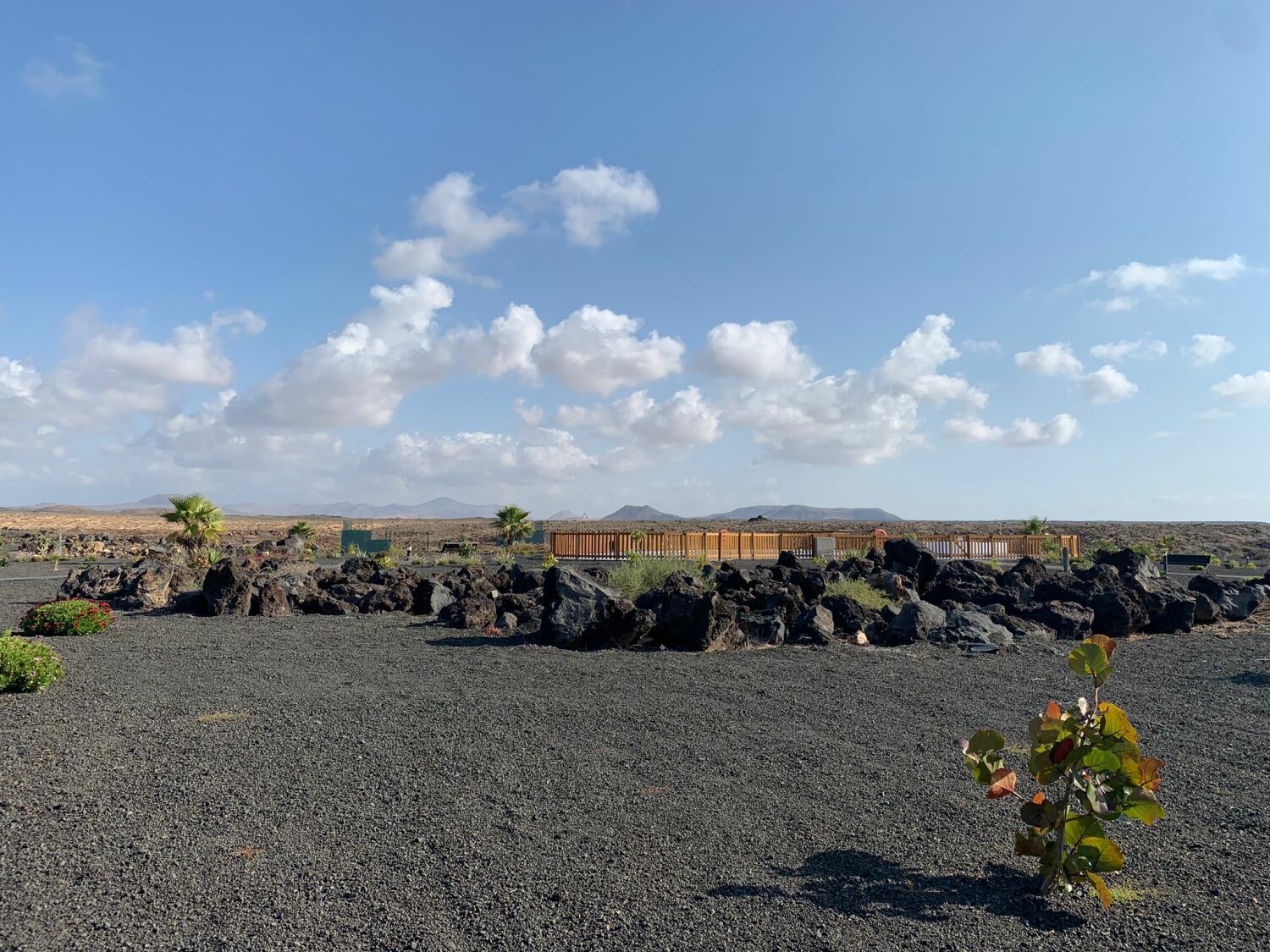 Imagen de WhatsApp 2023-05-25 a las 07.47.37_1.jpg