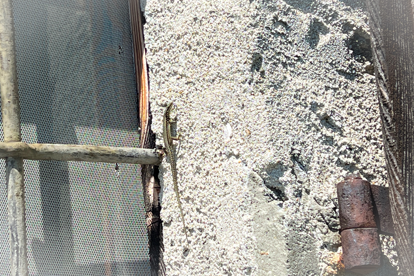 eremo del rico-15.jpg