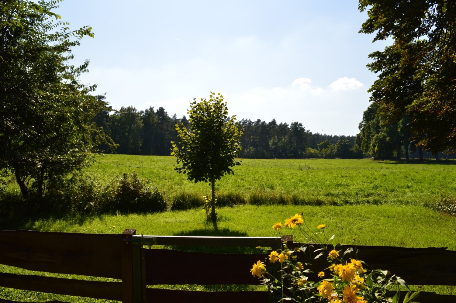 Aussicht Mobilhome.jpg